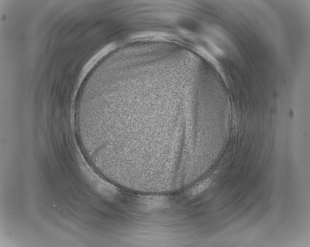 X0000081421090200701261548