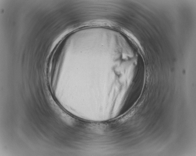 X0000081421091200701261548