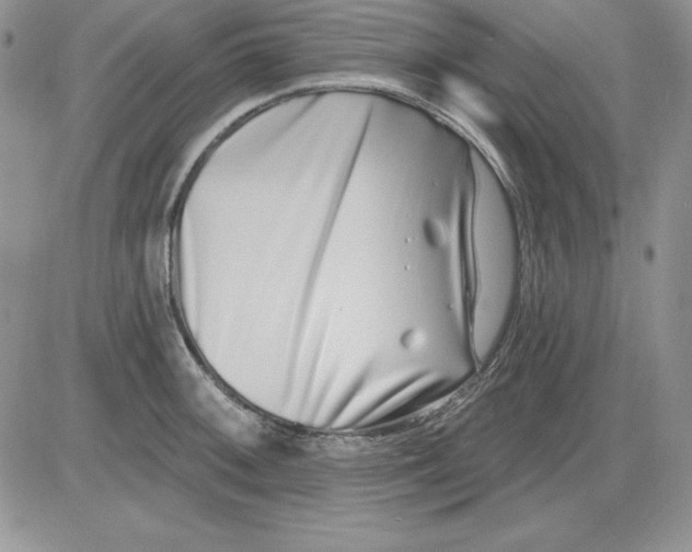 X0000081421092200701261548