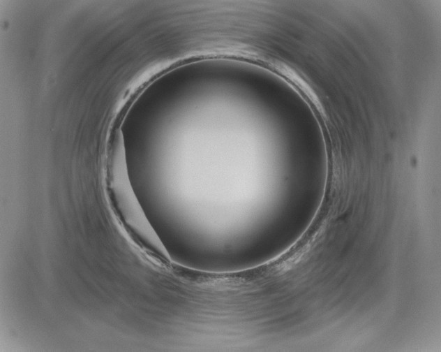 X0000081421093200701261548