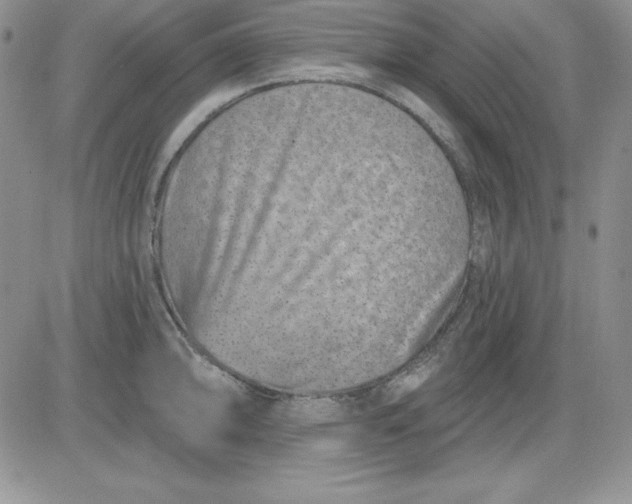 X0000081421094200701261548