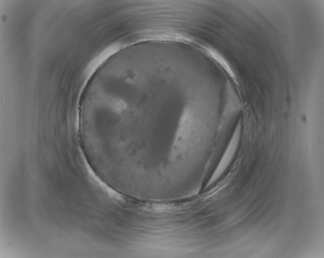 X0000081421095200701261547