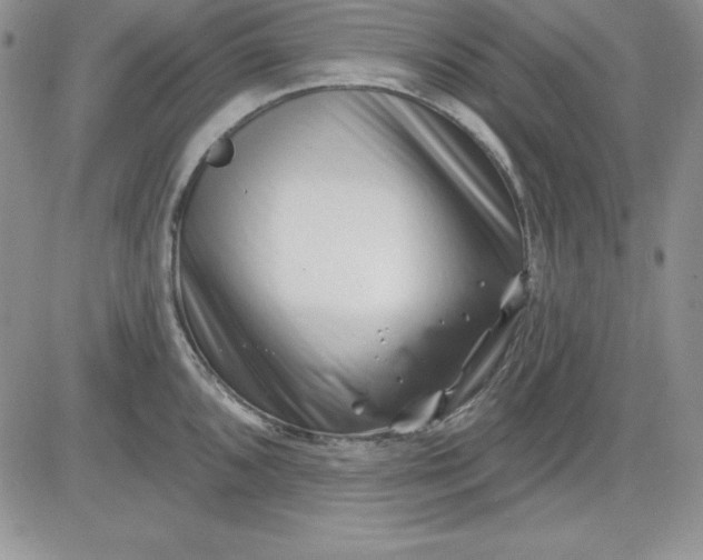 X0000081421096200701261547