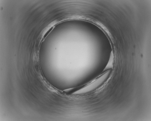 X0000081421097200701261547