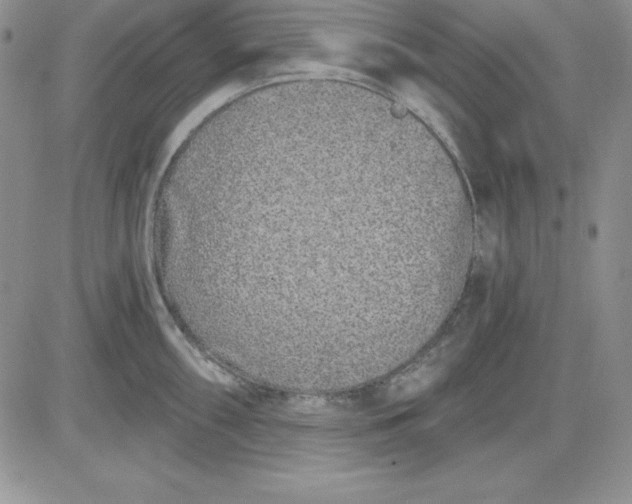 X0000081421098200701261547