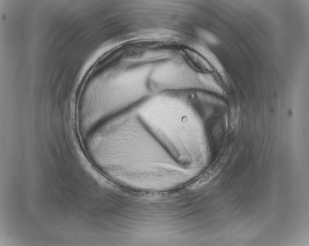 X0000081421099200701261547