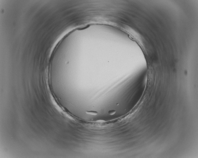 X0000081421100200701261547