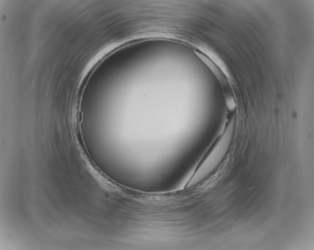 X0000081421101200701261547