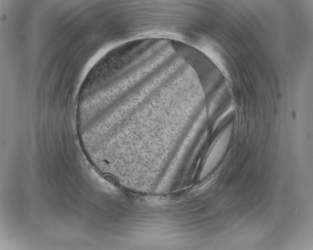 X0000081421102200701261547