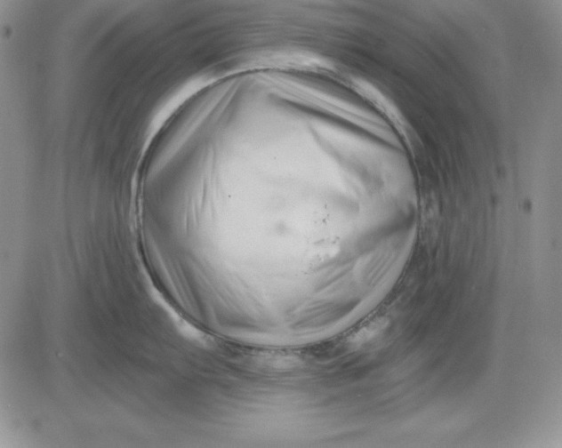 X0000081421103200701261547