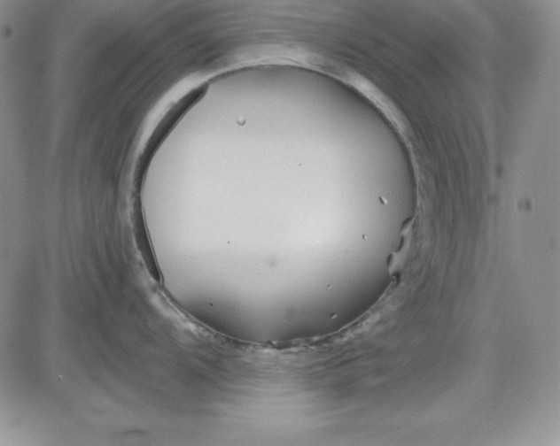 X0000081421104200701261547