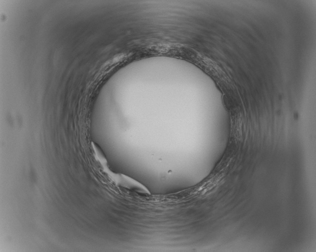 X0000081421105200701261547