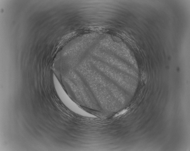 X0000081421106200701261547