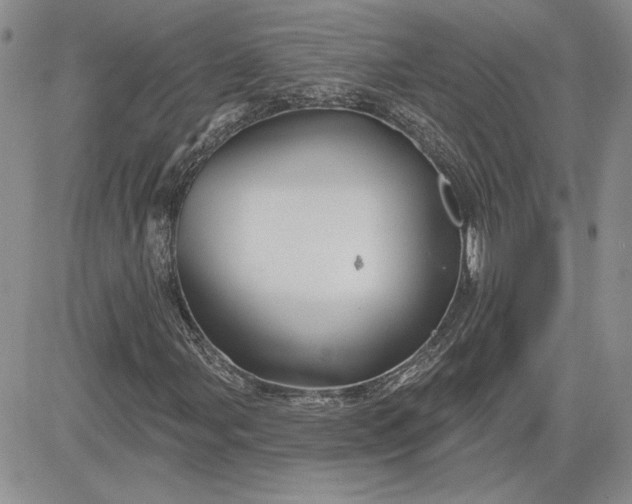 X0000081421107200701261547