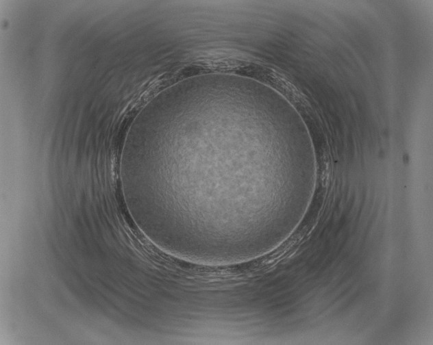 X0000081421108200701261547