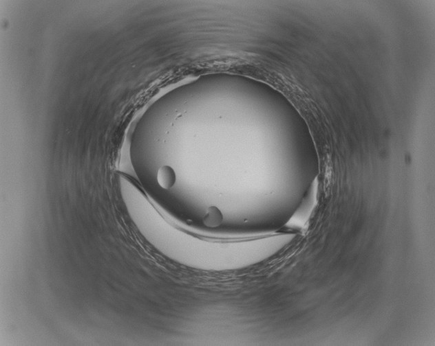 X0000081421109200701261547