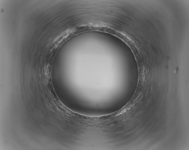 X0000081421110200701261547