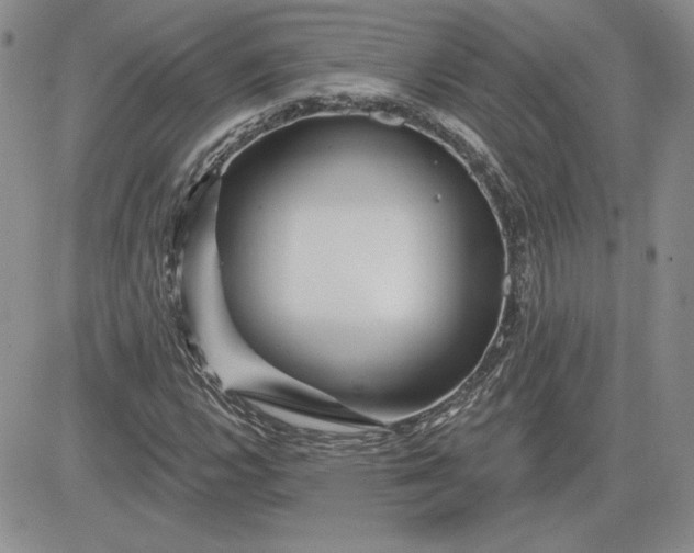 X0000081421112200701261547