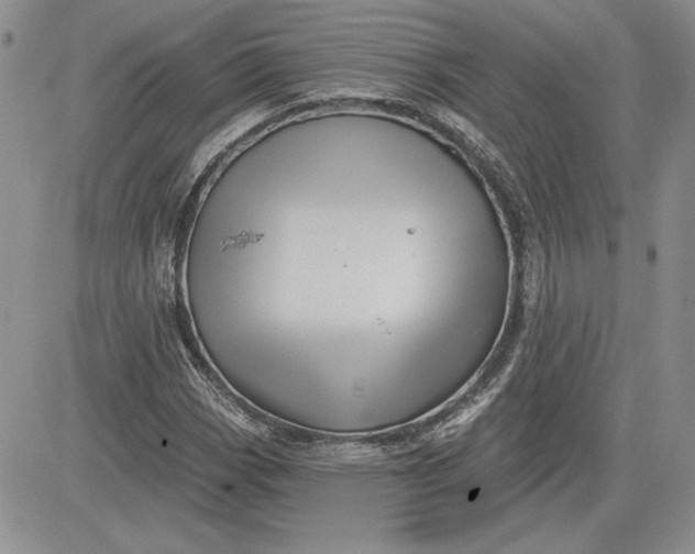 X0000081421113200701261547