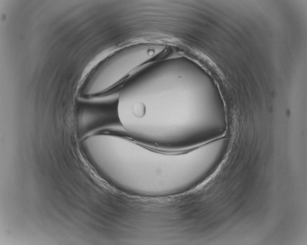 X0000081421114200701261547