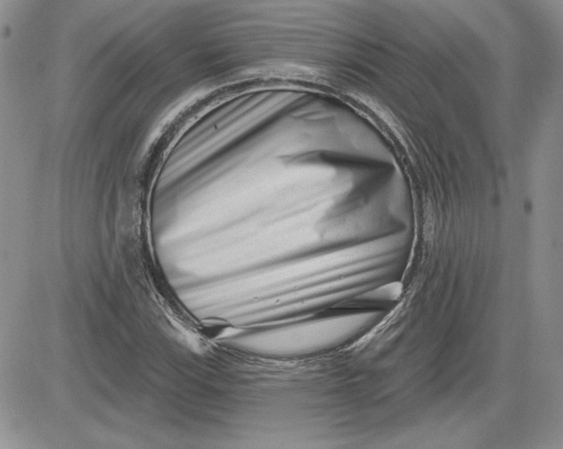 X0000081421115200701261547