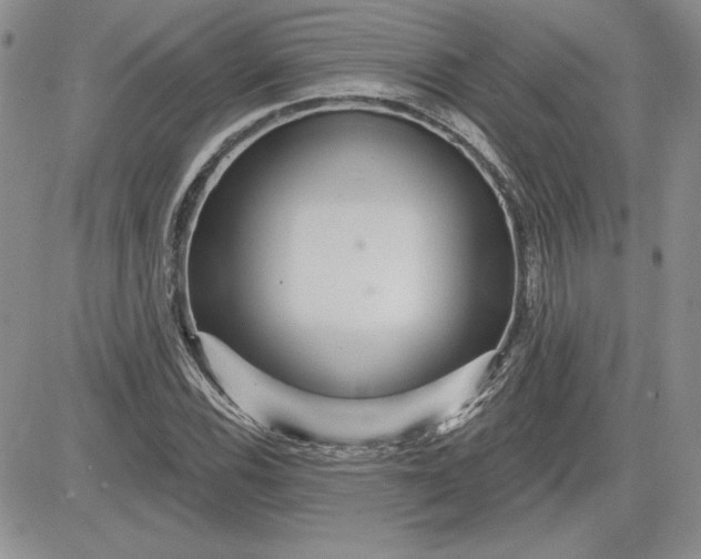 X0000081421116200701261547