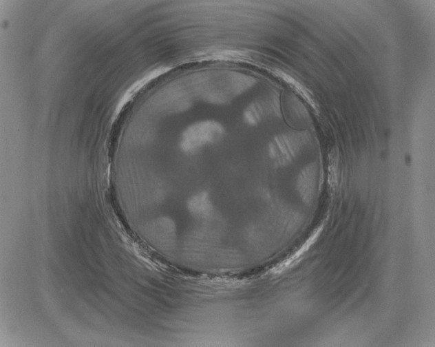 X0000081421117200701261547