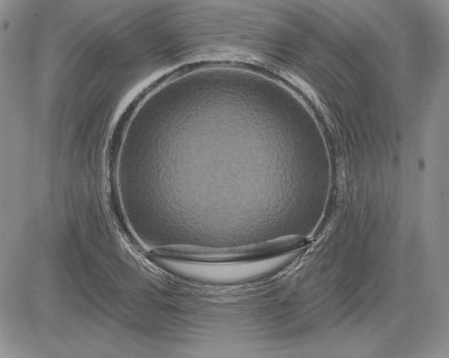 X0000081421120200701261547