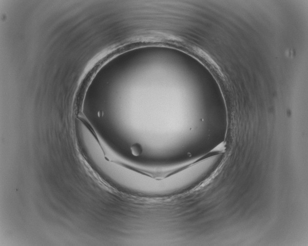 X0000081421122200701261547