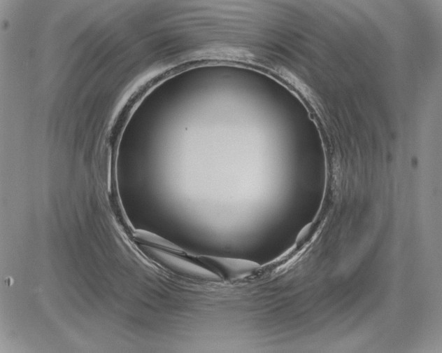 X0000081421123200701261547