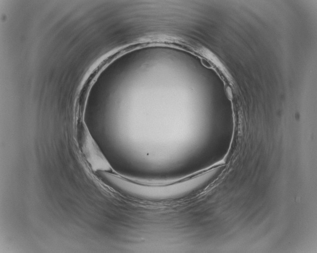 X0000081421124200701261547