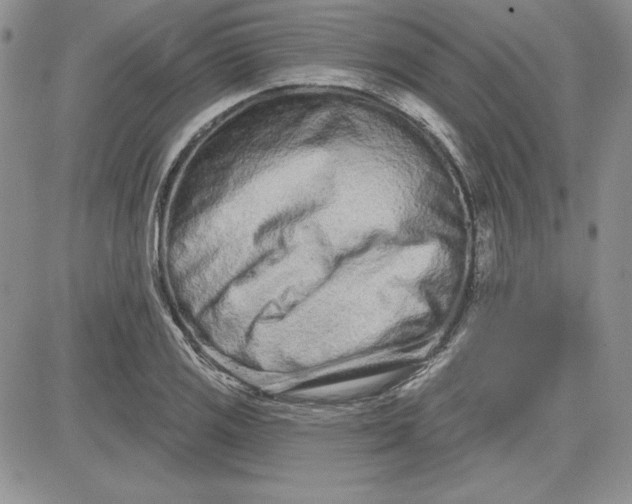 X0000081421125200701261547