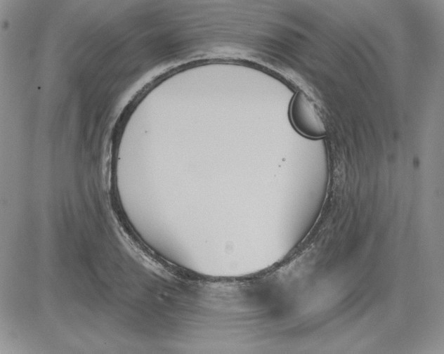 X0000081421126200701261547