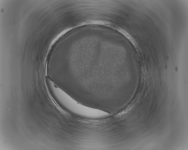 X0000081421127200701261547