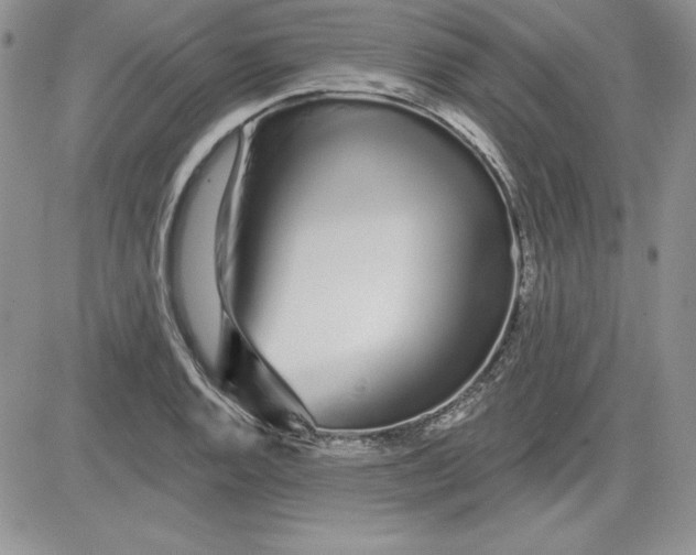 X0000081421128200701261547