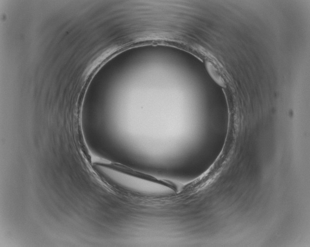 X0000081421129200701261547