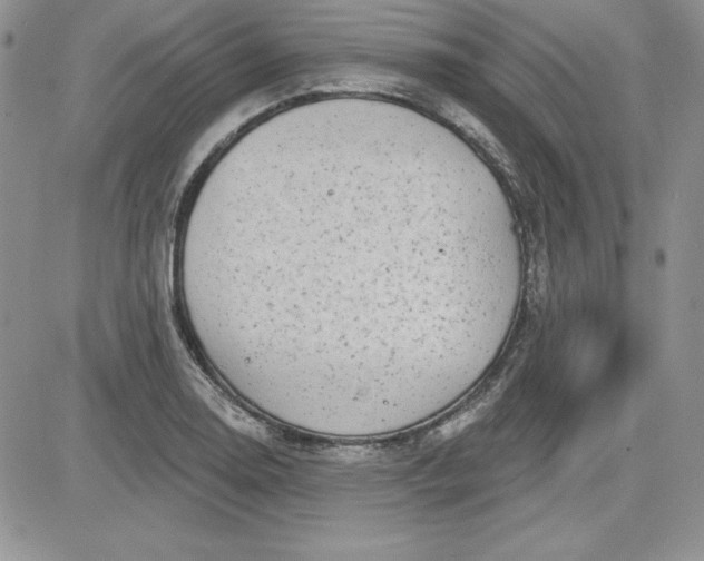 X0000081421130200701261547