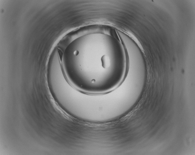 X0000081421132200701261547