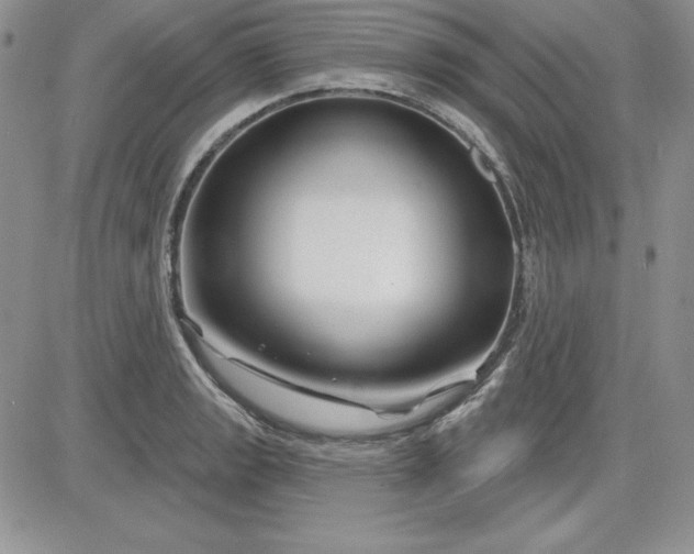 X0000081421133200701261547