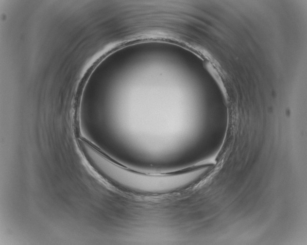 X0000081421134200701261547