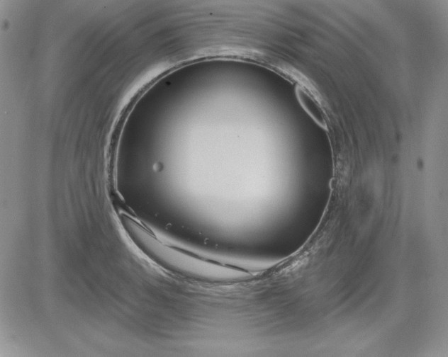 X0000081421135200701261547