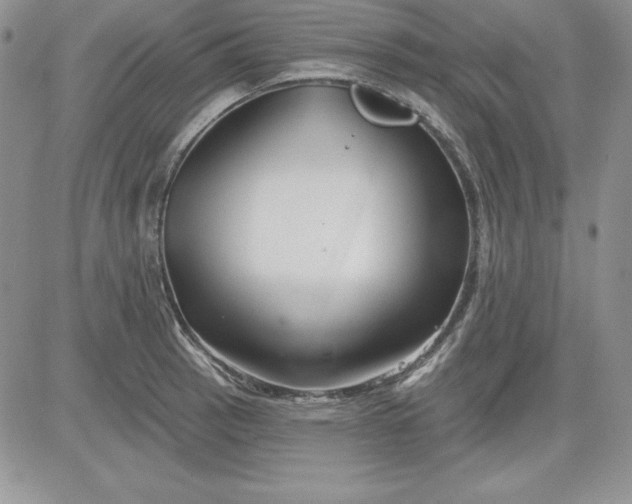 X0000081421137200701261547