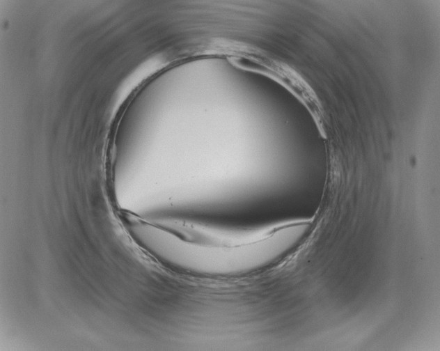 X0000081421138200701261547