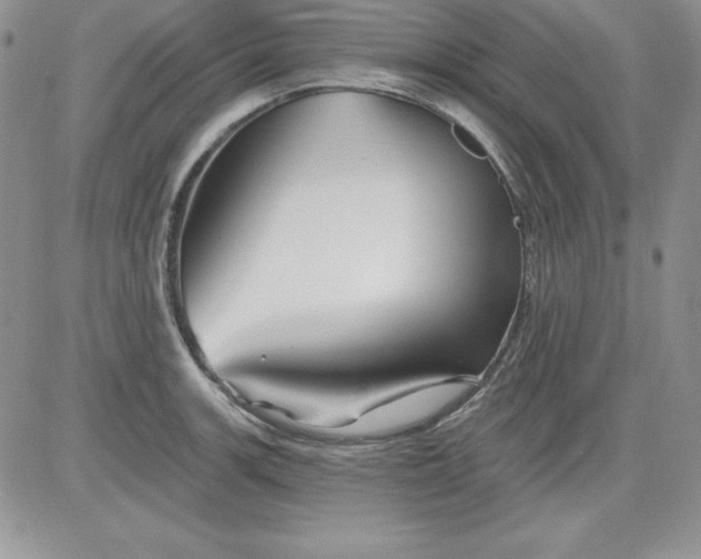 X0000081421139200701261547