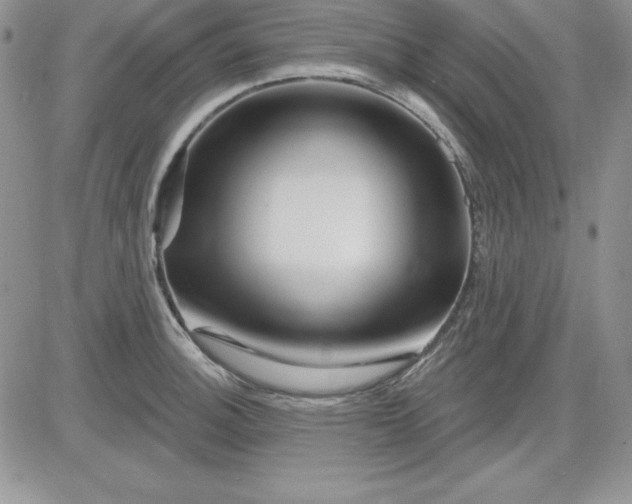 X0000081421140200701261547