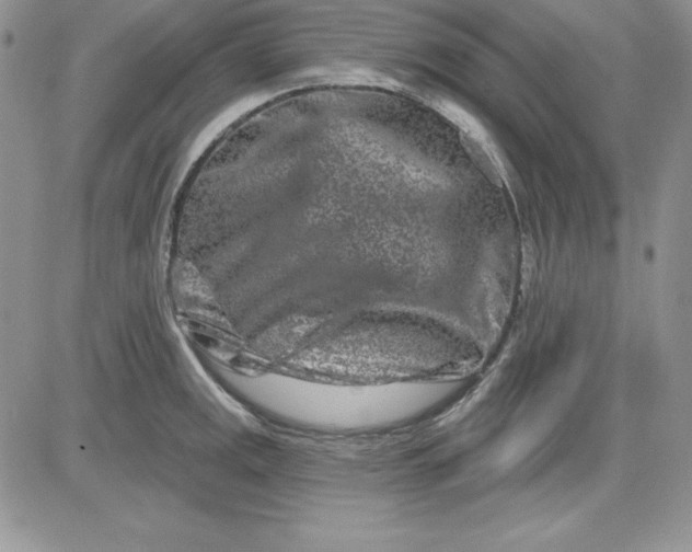 X0000081421141200701261547