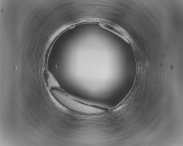 X0000081421143200701261547