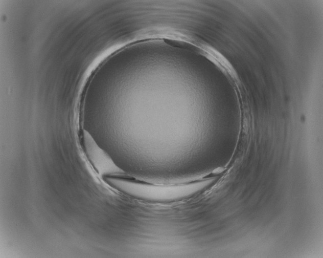 X0000081421144200701261547