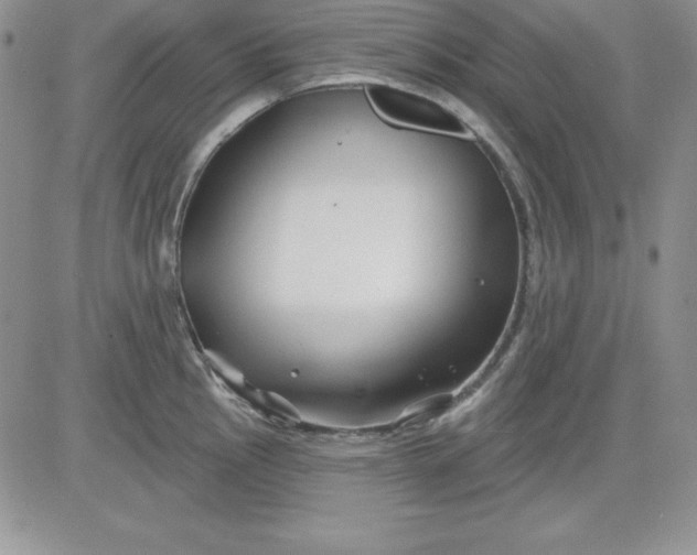 X0000081421145200701261547