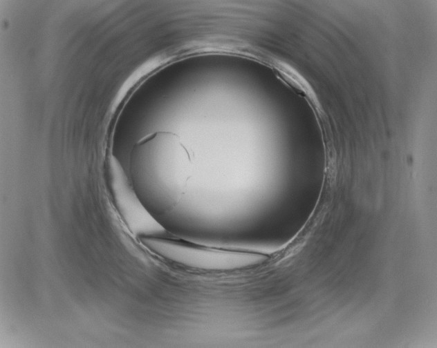 X0000081421146200701261547